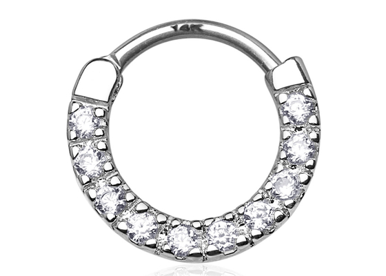 De naadloze Scharnierende Ring van Kraakbeenclicker, 14k-de Ring van de Witgoudneus