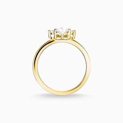 De mooie Gouden Ring van Bloemsytle Ring Paw Cat 9K