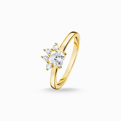 De mooie Gouden Ring van Bloemsytle Ring Paw Cat 9K
