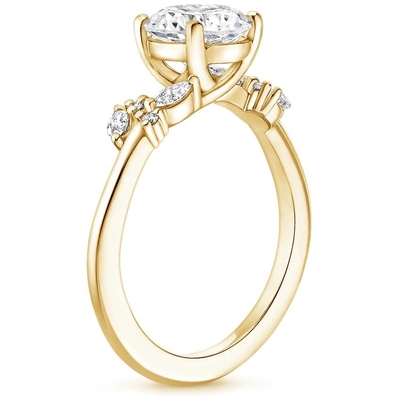 Arden Diamond Engagement Ring With 0,75 Karaat om het Gele Goud van Diamond In 9k