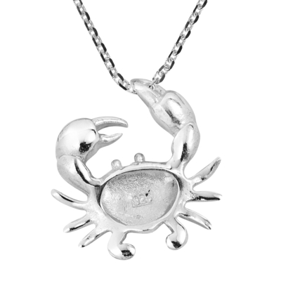 Wonderbaarlijke van Overzees het Levensjuwelen Octopussterling silver pendant necklace sea voor Oceaanminnaars