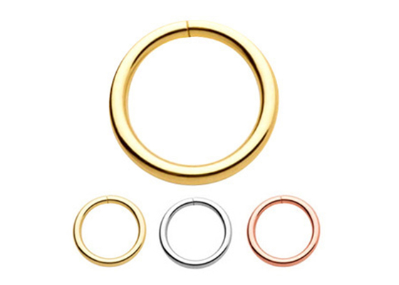 14k gouden Doordringende Ring 1/4inches 5/16inches 3/18inches voor het Oor van de Neuslip