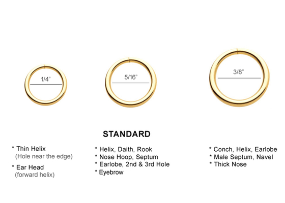 14k gouden Doordringende Ring 1/4inches 5/16inches 3/18inches voor het Oor van de Neuslip