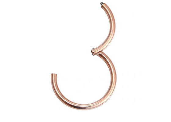 OEM 8mm Septumring, de Juwelen van het Neusseptum voor Verjaardagsgift