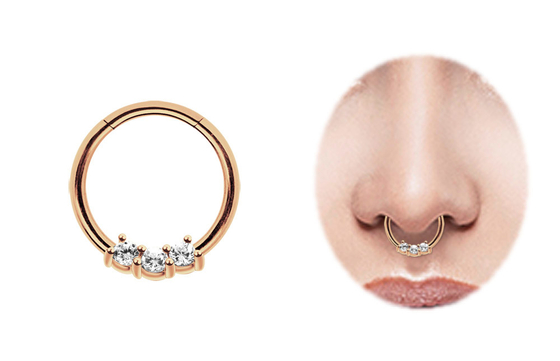 De Ring van het schroef14k Gouden Septum, 8mm en 10mm Neusring voor Dagelijkse slijtage