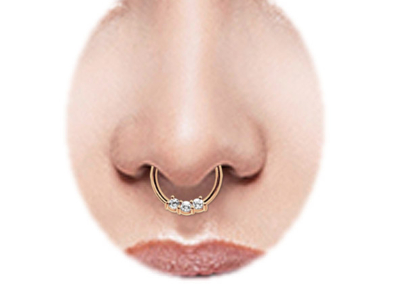 De Ring van het schroef14k Gouden Septum, 8mm en 10mm Neusring voor Dagelijkse slijtage