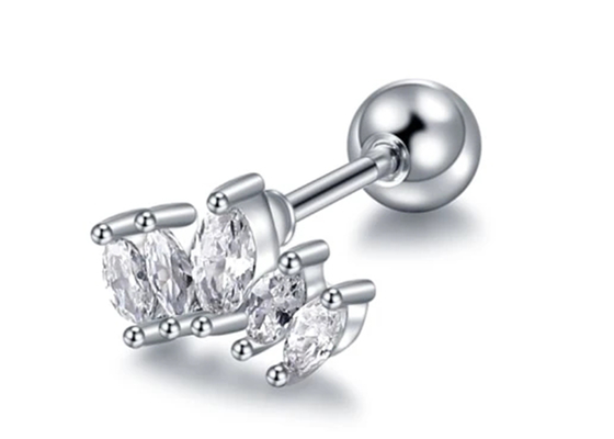 16g van het Lichaams Doordringende Juwelen van de kroonvorm Gouden Oorringen 6mm Lengte met Mq-Diamant