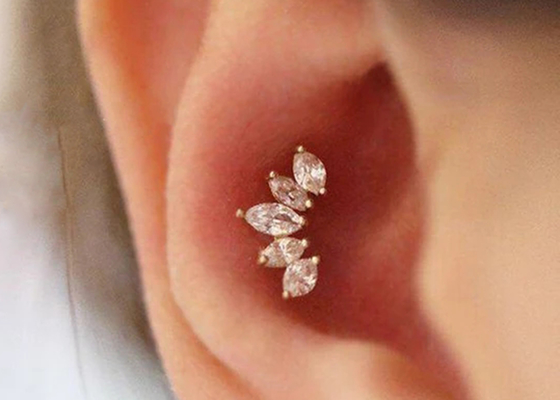 16g van het Lichaams Doordringende Juwelen van de kroonvorm Gouden Oorringen 6mm Lengte met Mq-Diamant