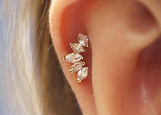 16g van het Lichaams Doordringende Juwelen van de kroonvorm Gouden Oorringen 6mm Lengte met Mq-Diamant