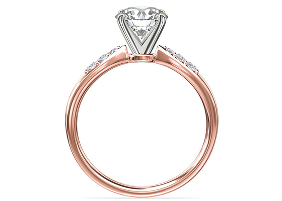 Klauw die 9K Zilveren Ring With 3.6ct plaatst de Ronde Diamant van het Besnoeiingslaboratorium